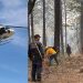 Controlado al 95 % el incendio en el Santuario de la Monarca en Senguio, Michoacán: Cofom
