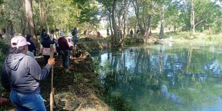 Empleos temporales impulsan el rescate del lago de Pátzcuaro