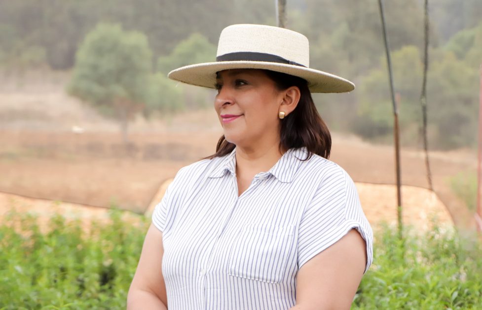 Promueve Ayuntamiento de Quiroga huertos familiares con árboles frutales