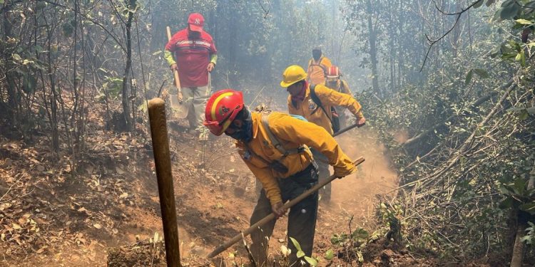 Brigadas forestales atienden 7 incendios y liquidan 2 más en Michoacán