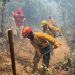 Brigadas forestales atienden 7 incendios y liquidan 2 más en Michoacán