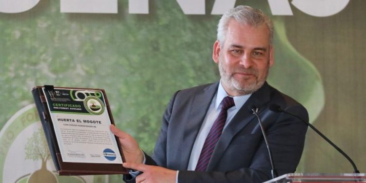 Certificado con Proforest Avocado, el 67 % del aguacate exportado a EUA: Bedolla