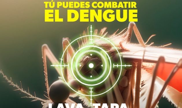Bajan 65 % casos de dengue en Michoacán: SSM