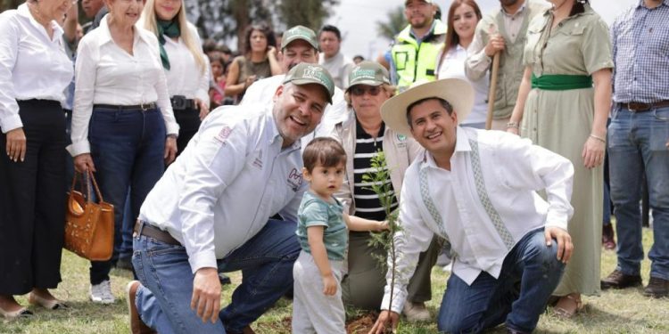 Arranca Bedolla reforestación 2025; despliega ejército verde para plantar 10 millones de árboles