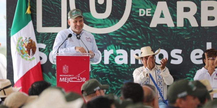 Por aire se lanzarán semillas para reforestar 50 mil has de bosques: Bedolla