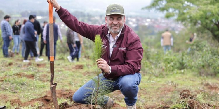 Michoacán impulsa reforestación histórica para recuperar el lago de Pátzcuaro: Bedolla