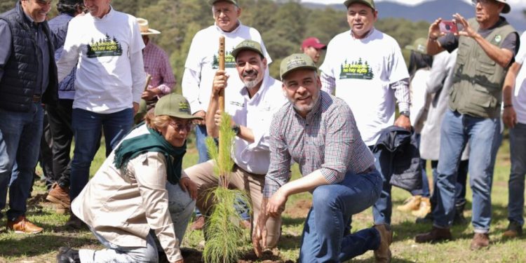 En julio inicia dispersión aérea de 200 mil semillas para reforestar: Bedolla