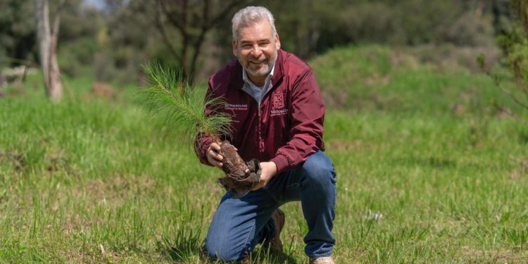 Para cuencas de ríos y lagos, 4 de cada 10 árboles plantados: Bedolla