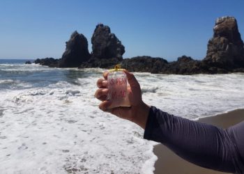 Playas de Michoacán son aptas para uso recreativo durante el verano