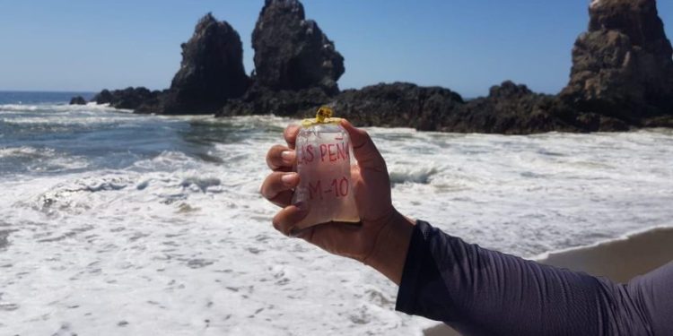 Playas de Michoacán son aptas para uso recreativo durante el verano