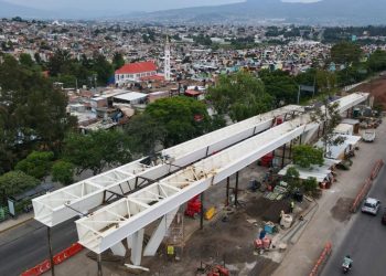 Gobierno de Michoacán compensa obras viales con casi 7 mil árboles
