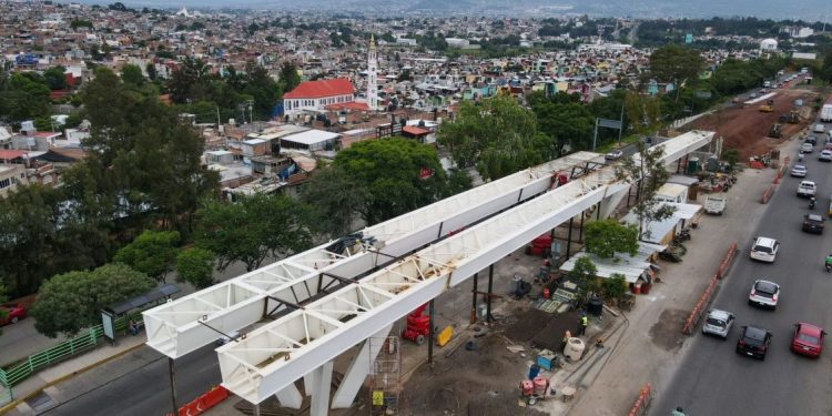 Gobierno de Michoacán compensa obras viales con casi 7 mil árboles