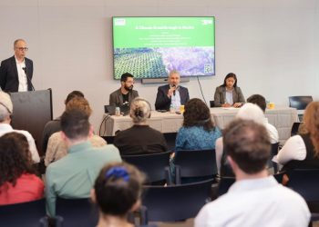 Walmart y Costco respaldan certificación contra la deforestación impulsada por Bedolla