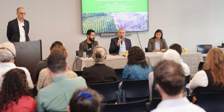 Walmart y Costco respaldan certificación contra la deforestación impulsada por Bedolla