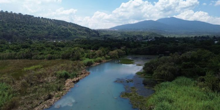 Avanza recuperación del manantial de La Mintzita: Compesca