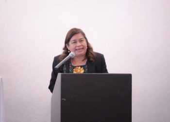 Belinda Iturbide propone ante el pleno promover inclusión laboral de personas con discapacidad