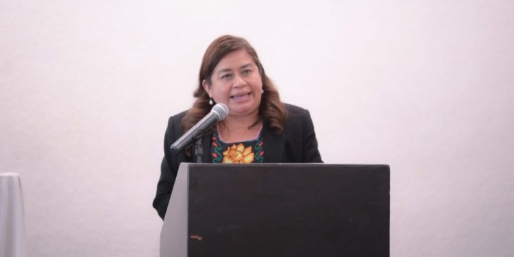 Belinda Iturbide propone ante el pleno promover inclusión laboral de personas con discapacidad