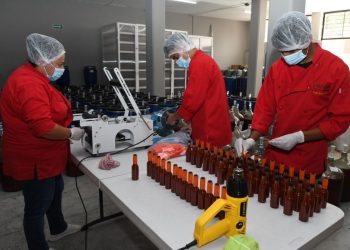 Michoacán supera el medio millón de empleos formales; alcanzó su cifra más alta en febrero