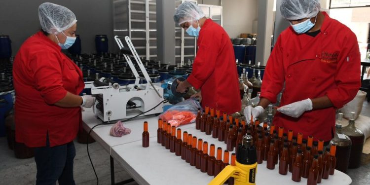 Michoacán supera el medio millón de empleos formales; alcanzó su cifra más alta en febrero