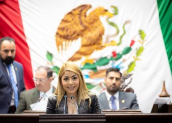 Presenta Diputada Sandra Garibay iniciativa para crear el “Programa Atención Autismo” en Michoacán