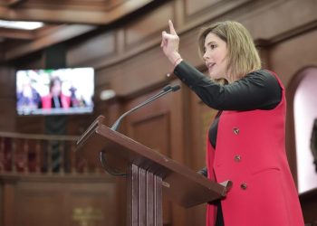 Diputada Brissa Arroyo propone robustecer jurídicamente medidas cautelares