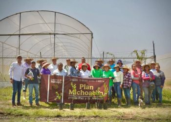 ¡Líder nacional! Michoacán supera el millón de toneladas de limón al año: Bedolla